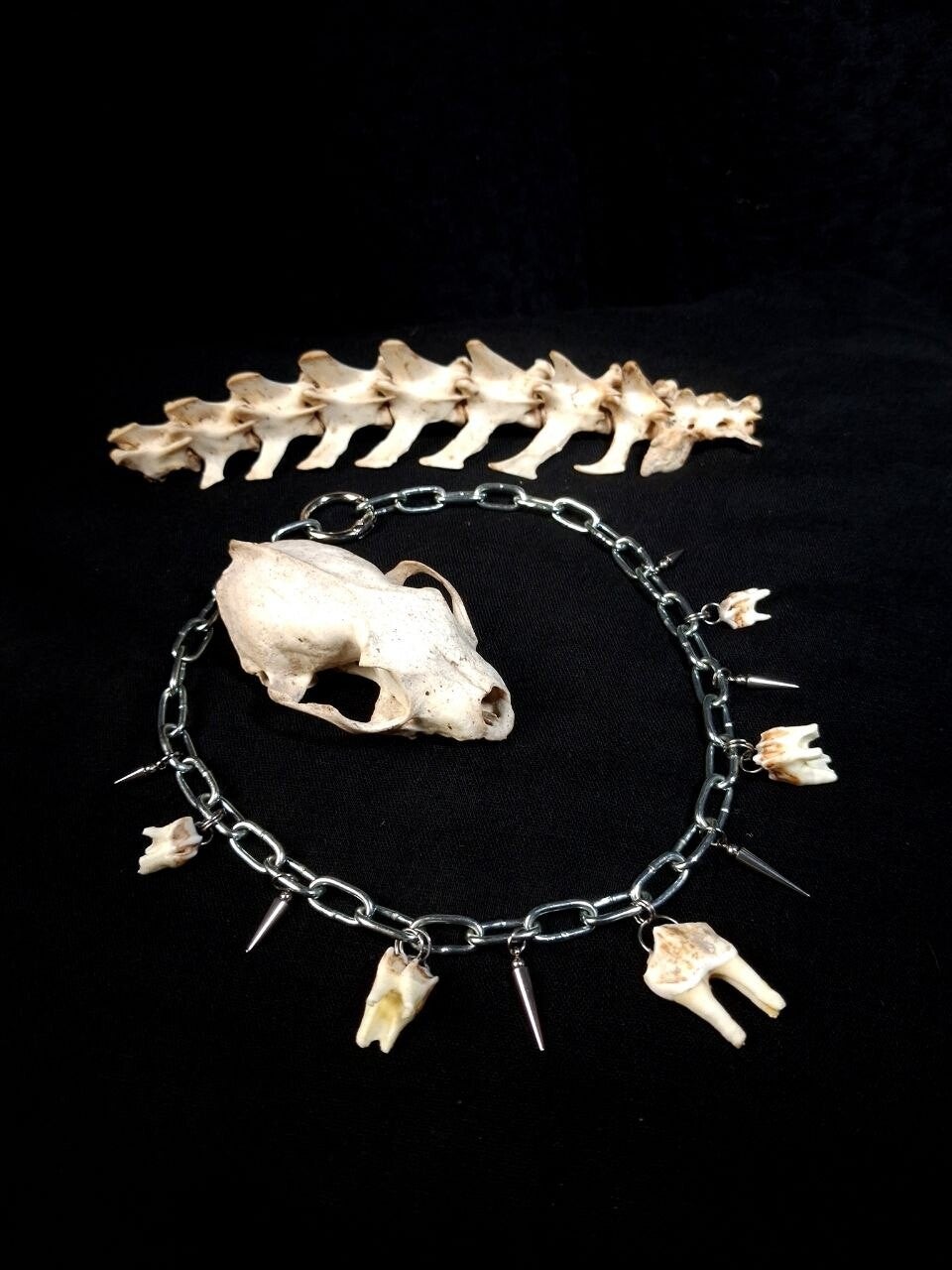 Necklace Chain Teeth & Spikes