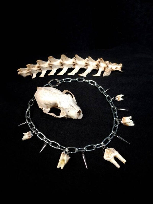Necklace Chain Teeth & Spikes