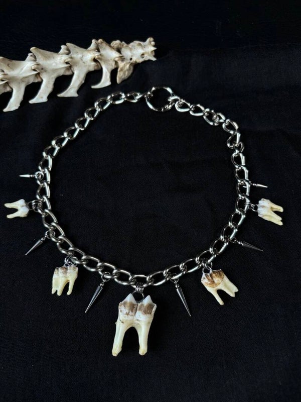 Necklace Chain Teeth & Spikes 2