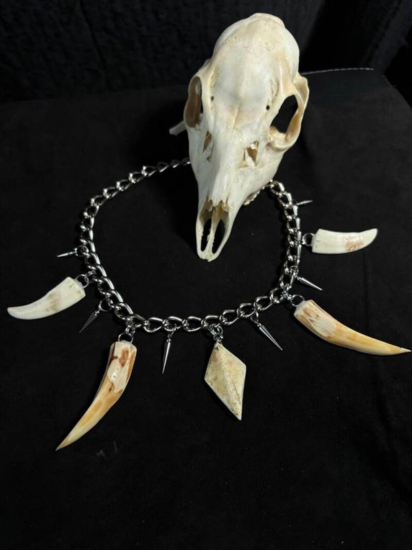 Skull Cap & Boar Tusk Necklace