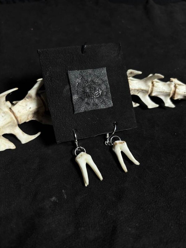 Pig Tooth Earrings small