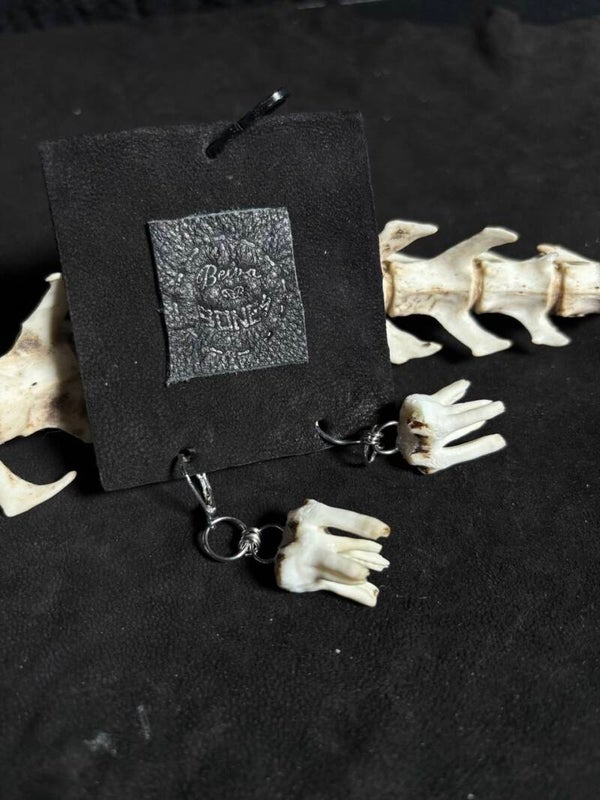 Pig Tooth Earrings