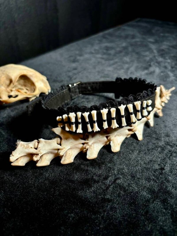 Tiny Bones & Ruffles Choker