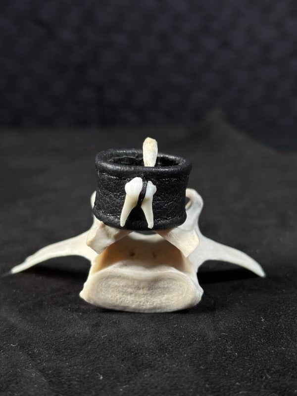 Leather Ring Tooth
