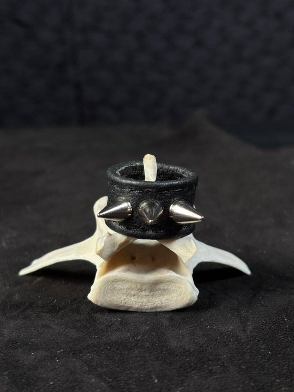 Leather Ring Spikes