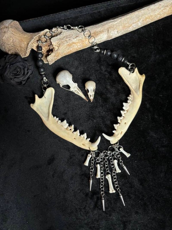 Fox Lower Jaw and Tiny Bones Necklace