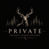 Private P.I