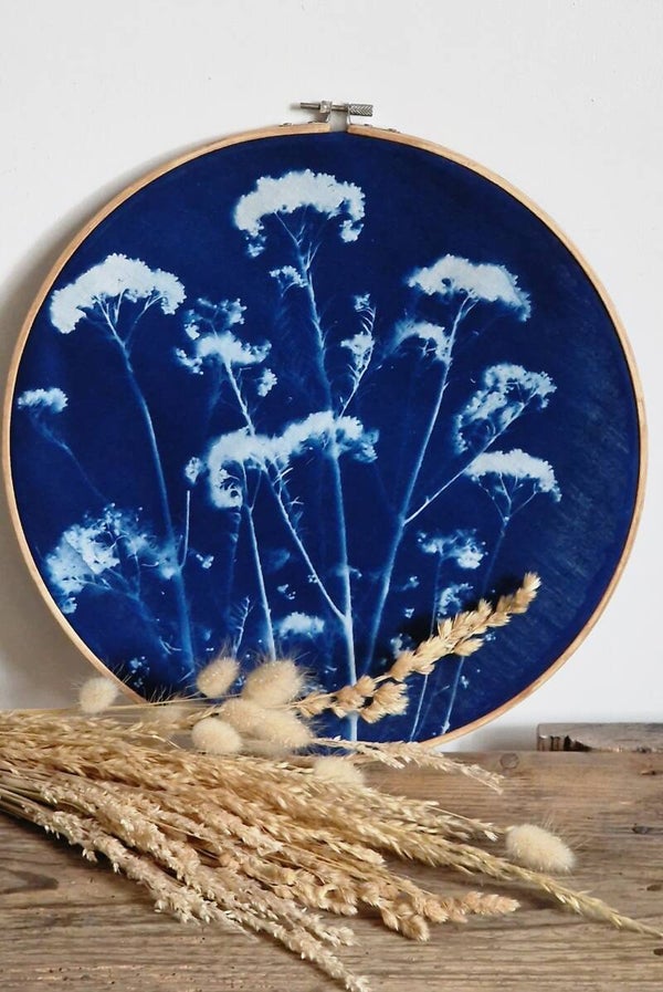 Cyanotype Botanique 3