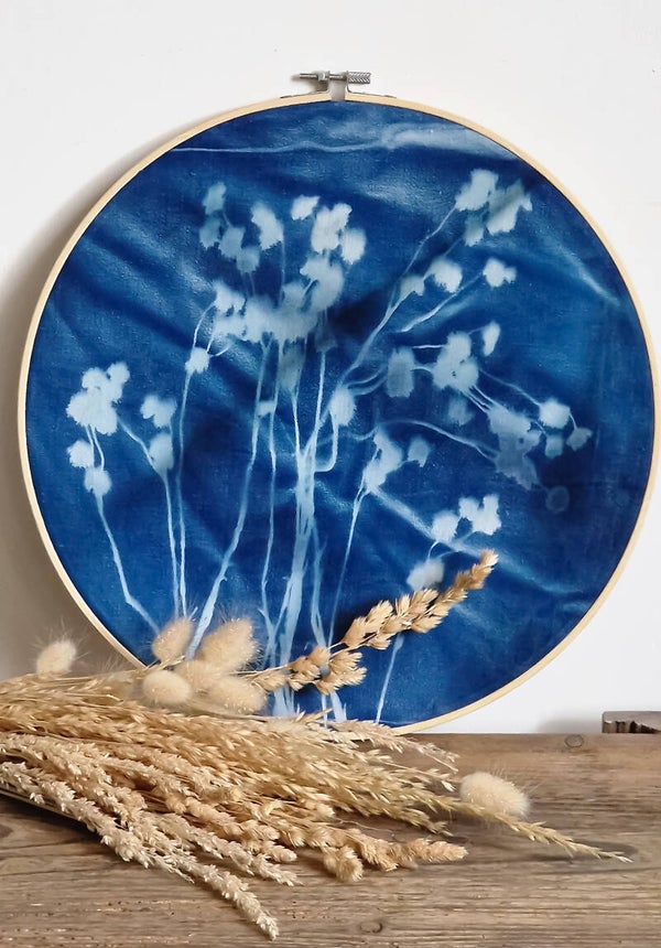 Cyanotype nature/composition florale 5