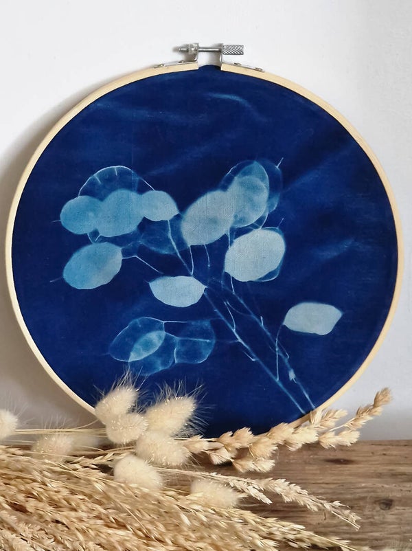 Cyanotype Fleurs Sauvages – Tableau Botanique 25 cm