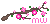 Kirschblütenzweig