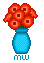 Klatschmohn in Vase