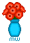 Vase mit Klatschmohnblumen