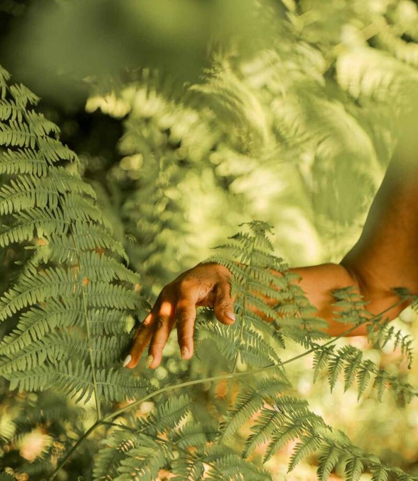 Séance en ligne - accompagnement individuel-