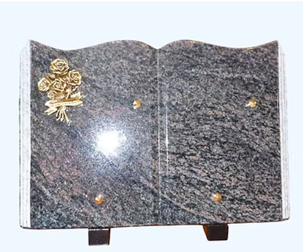 N°24 Livre avec bronze aléatoire