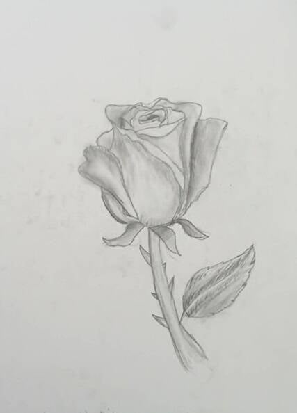835da311-80c3-498f-baaf-44eed9ae5c8f-standard-5ajvxg.jpg