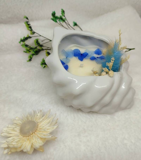 Coquillage