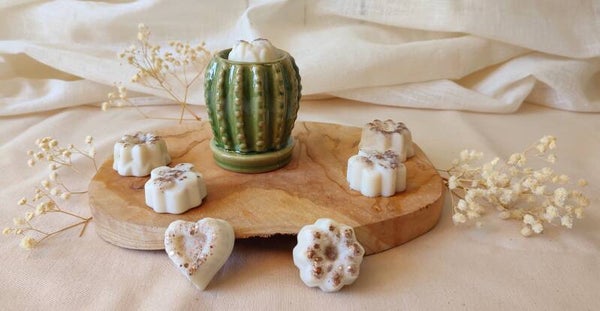 Brûleur cactus vert clair
