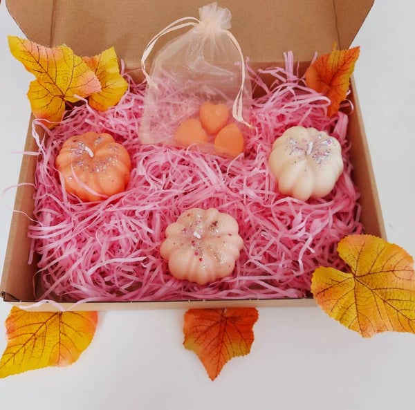 Coffret citrouilles