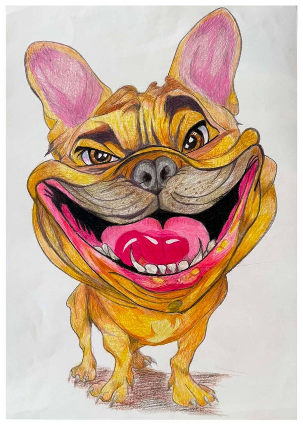 French the Bulldog