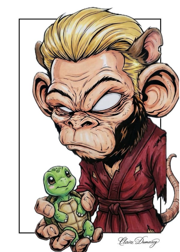 Splinter TMNT (Aap)