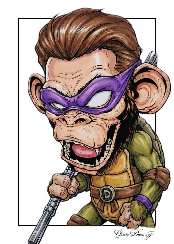 Donatello TMNT (Aap)