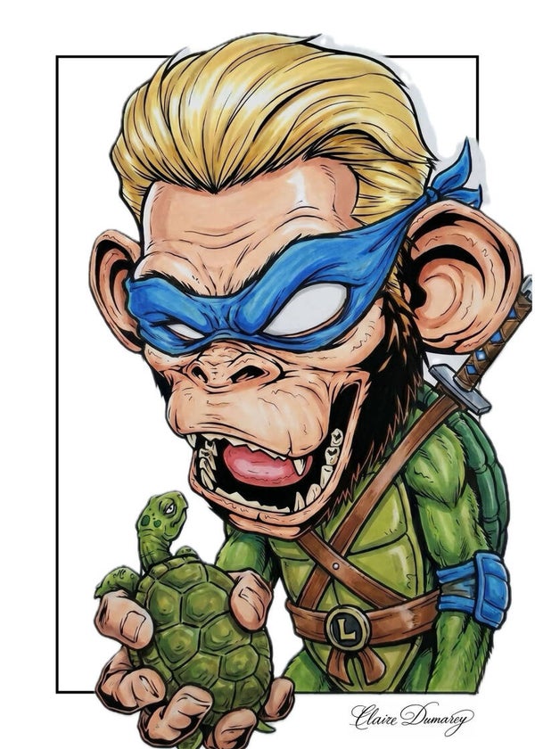 Leonardo TMNT (Aap)