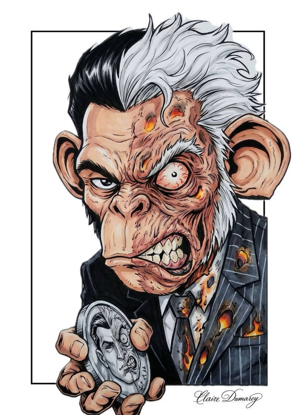 Two-Face Batman (Aap)