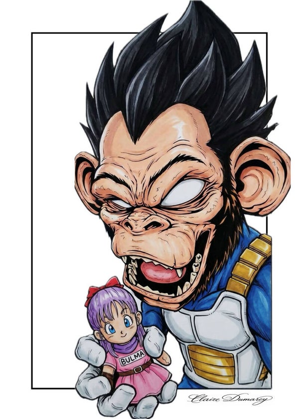 Vegeta Dragon Ball (Aap)