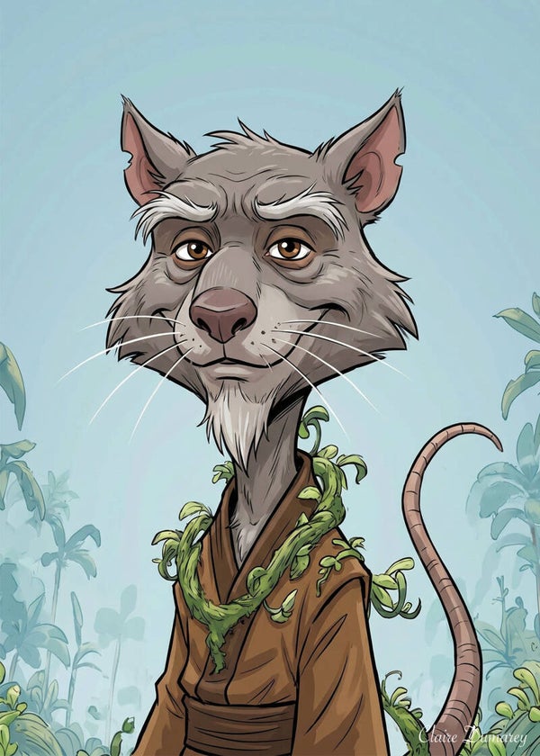Splinter TMNT (Liaan)