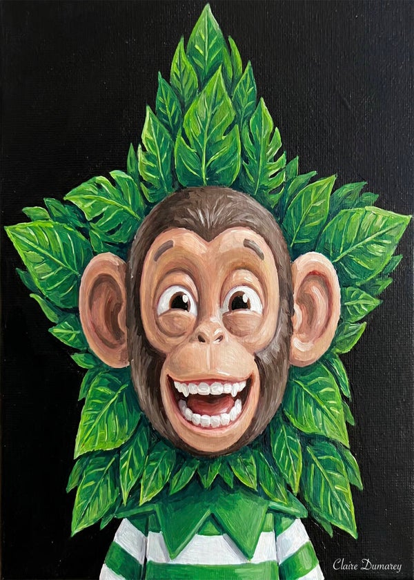 Chimpansee Elf (Regenwoud)