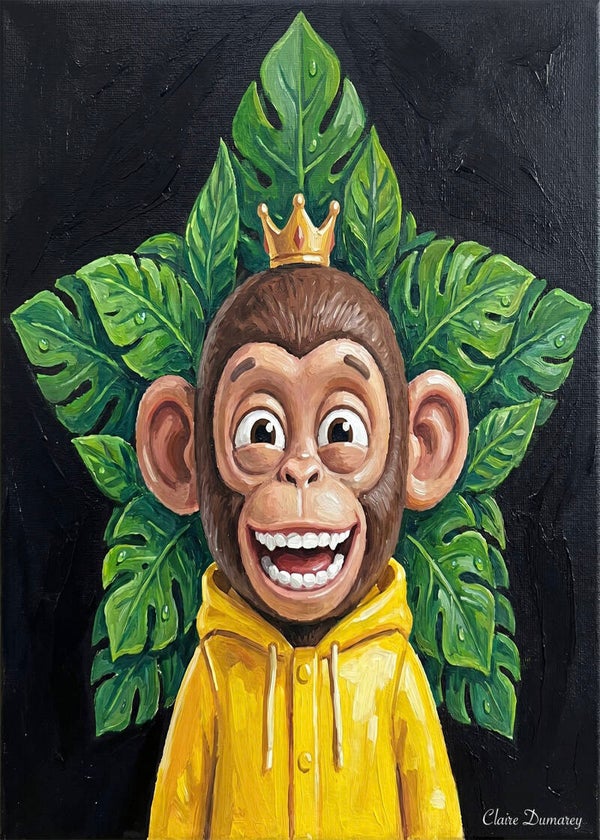 Chimpansee Regenjas (Regenwoud)