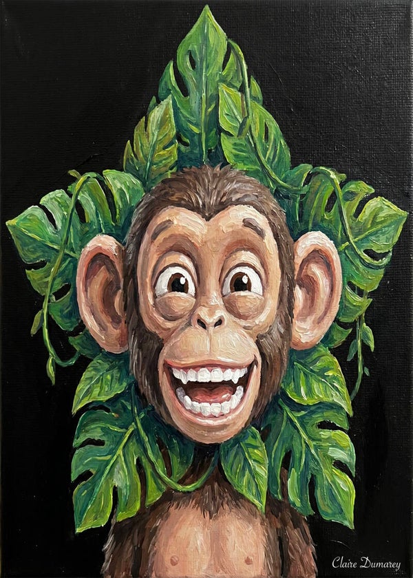 Chimpansee Natuurlijk (Regenwoud)