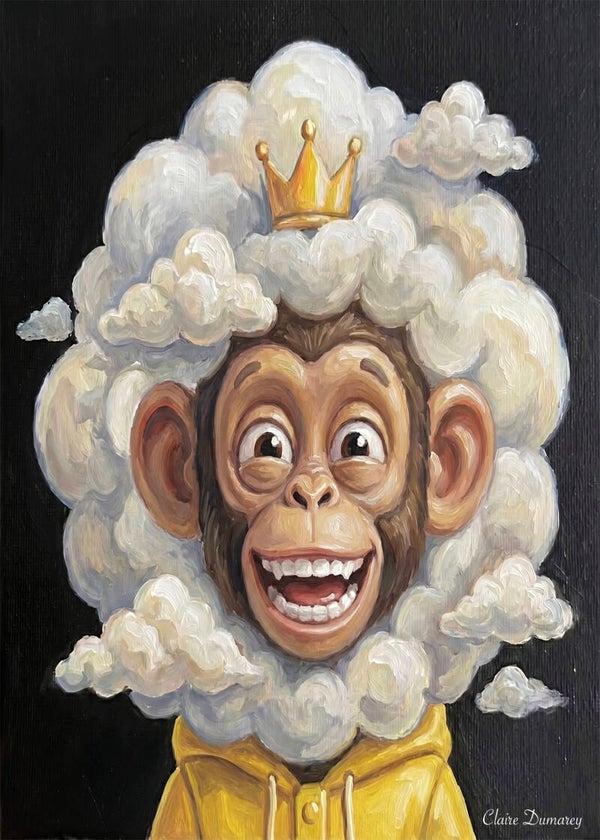 Chimpansee Regenjas (Wolken)