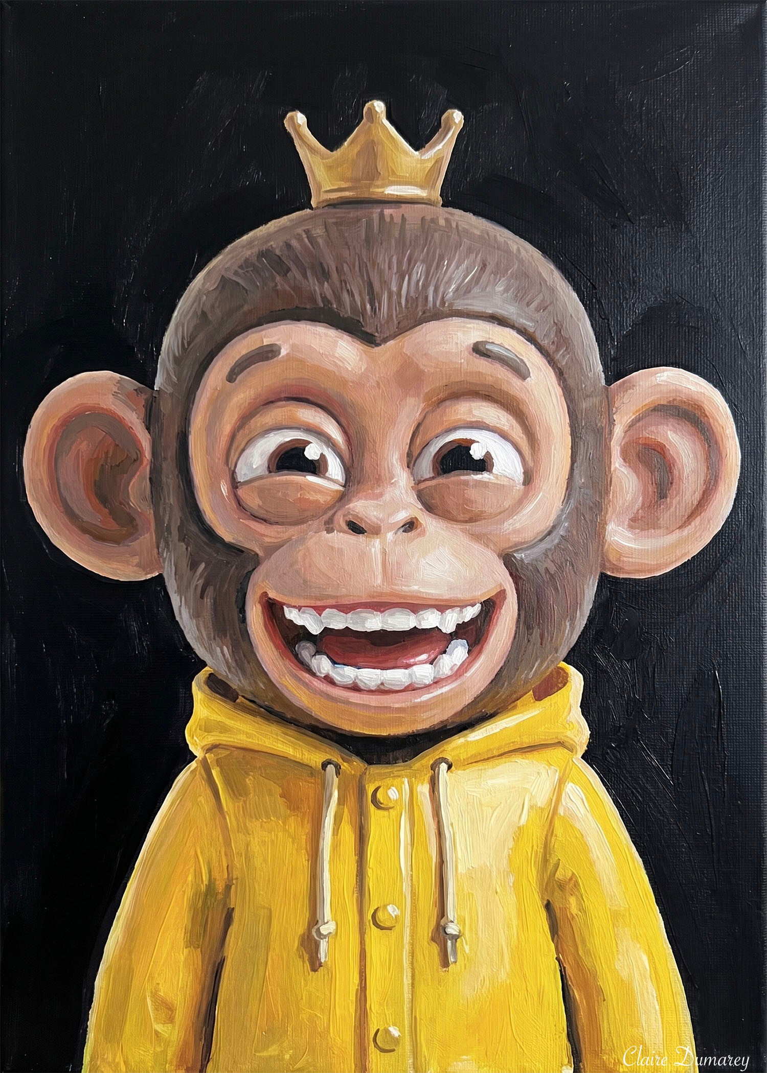 Chimpansee Regenjas