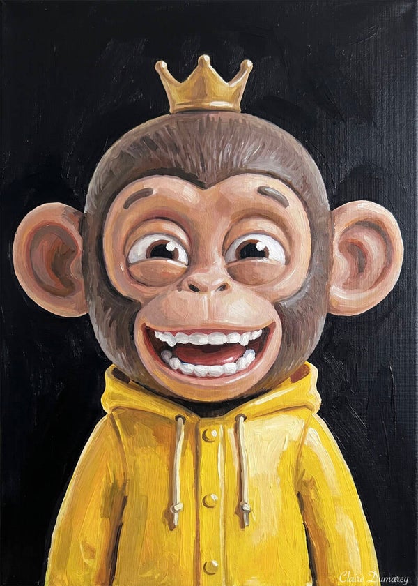 Chimpansee Regenjas