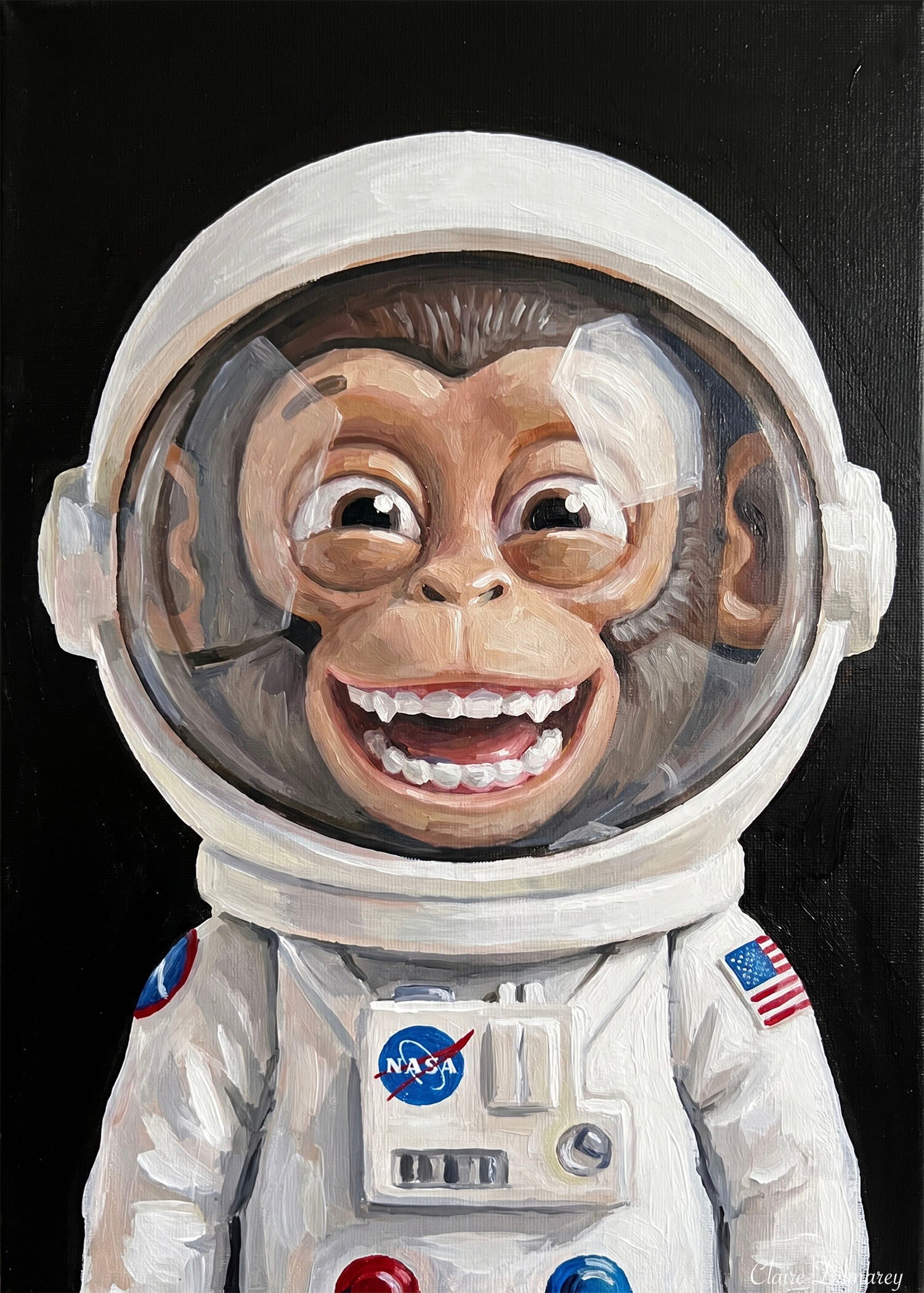 Chimpansee Astronaut