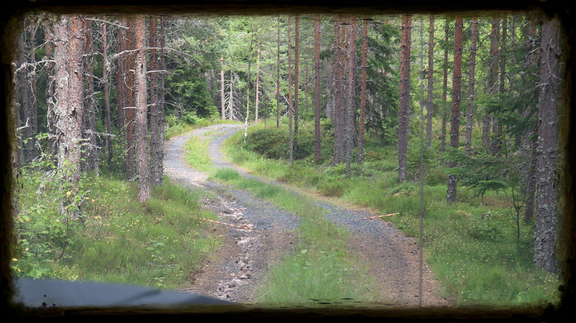 Schwedische Schotterpiste durch den Wald