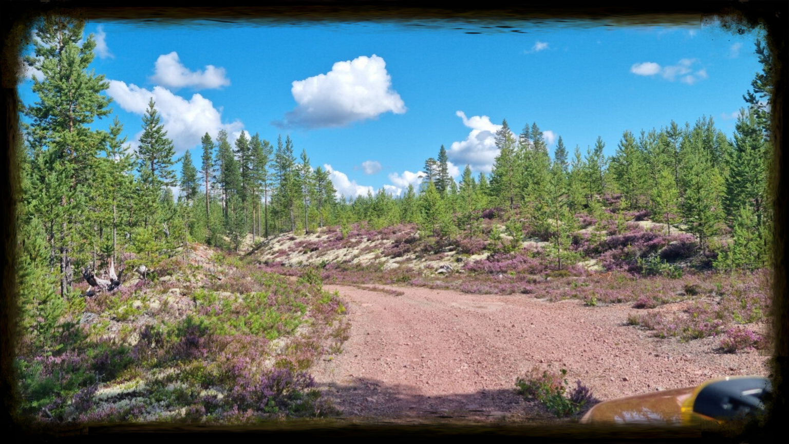 Schotterpisten in Schweden