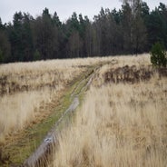 dsc00905jpg.jpg