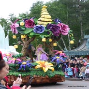 P1020335.jpg