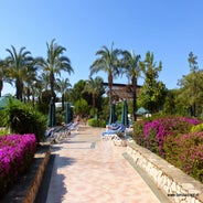 P1000399.jpg