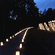 DSC03929-TWINKLE.gif