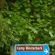P1020167.jpg