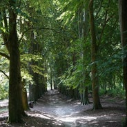 dsc03114jpg.jpg