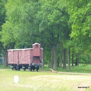 P1020195.jpg