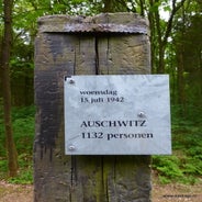 P1020210.jpg