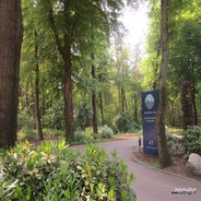 TopParken-Bospark-Ede.jpg