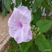 P1020710.jpg