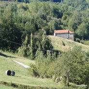 DSC04221.jpg